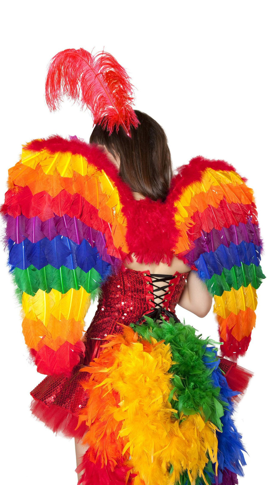 Rainbow Wings