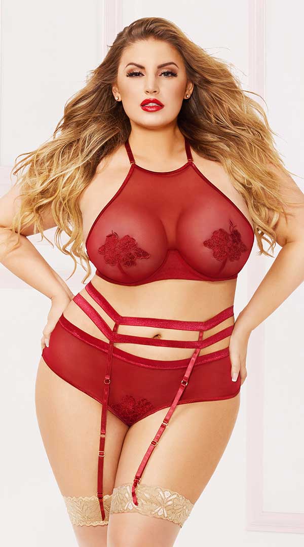 Applique & Mesh Bra Set - ElegantStripper